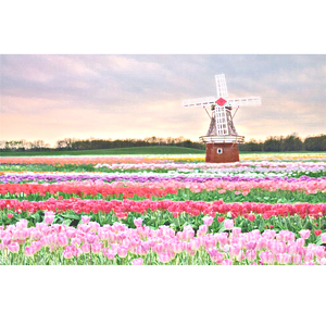 郭晶晶洗澡的毛片
